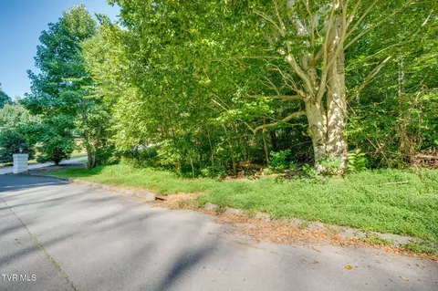 tbd Blanches Vw Drive Bluff City Tn 37618, Bluff City, TN 37618 photo 7