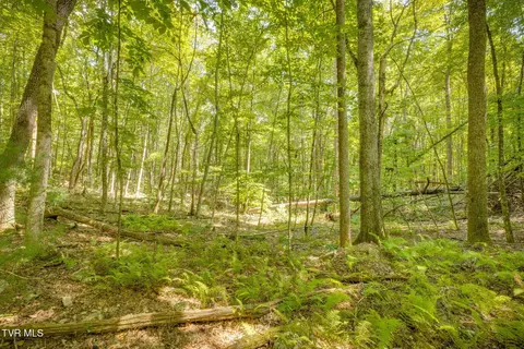 lot13 Black Bear Drive Butler Tn 37640, Butler, TN 37640