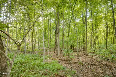 lot16 Forest Drive Butler Tn 37640, Butler, TN 37640