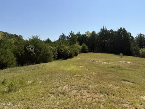 Exterior - 2240 Mount Hope Road Mohawk Tn 37810, Mohawk, TN 37810 photo 5 of 6