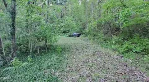 217 Coal Chute Road Elizabethton Tn 37643, Elizabethton, TN 37643