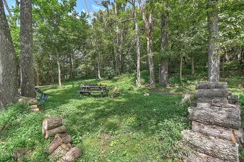 Exterior - 1711 Highway 93 Fall Branch Tn 37656, Fall Branch, TN 37656 photo 11 of 14