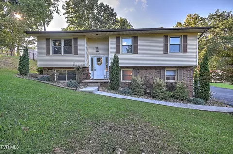 1241 Nassau Drive Kingsport Tn 37660, Kingsport, TN 37660