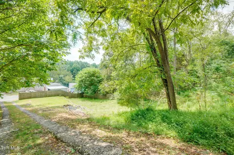 Exterior - 223 12 Spring Street Jonesborough Tn 37659, Jonesborough, TN 37659 photo 6 of 7