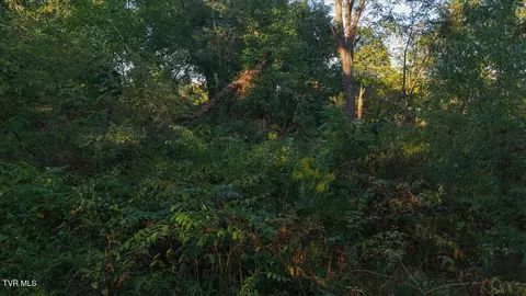 110 Cox Road Gray Tn 37615, Gray, TN 37615 photo 8