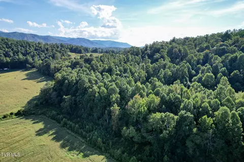 Other - 386 Fox Road Chuckey Tn 37641, Chuckey, TN 37641 photo 27 of 34