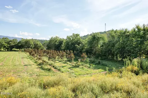 Other - 386 Fox Road Chuckey Tn 37641, Chuckey, TN 37641 photo 29 of 34