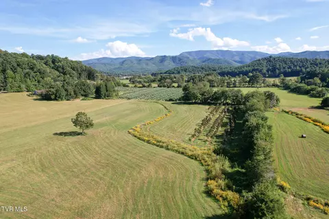 Other - 386 Fox Road Chuckey Tn 37641, Chuckey, TN 37641 photo 21 of 34