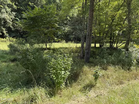 lot4 Greggs Branch Rd Butler Tn 37640, Butler, TN 37640
