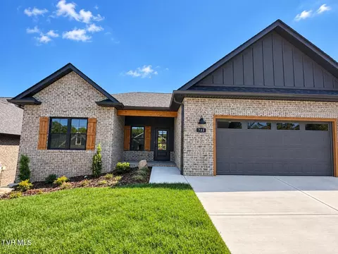 733 Hunts Terrace Drive Kingsport Tn 37663, Kingsport, TN 37663