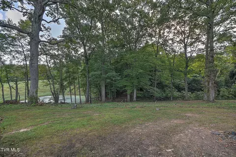 Exterior - 568 Painter Road Fall Branch Tn 37656, Fall Branch, TN 37656 photo 9 of 16