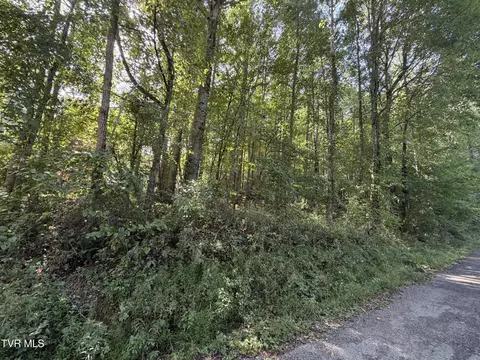 tbd Woods Lane Shady Valley Tn 37688, Shady Valley, TN 37688