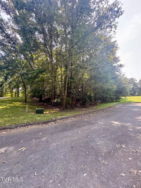 0 Brooks Pointe Drive Lot 59 Rogersville Tn 37857, Rogersville, TN 37857