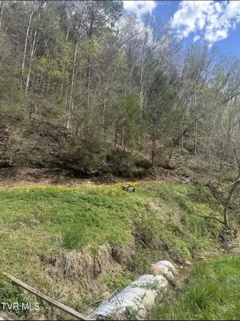 tbd Hurley Runyon Road Vansant Va 24656, Vansant, VA 24656 photo 4