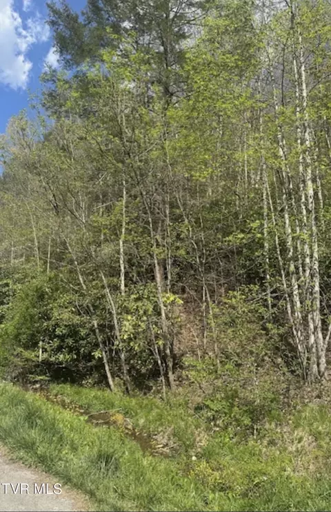tbd Hurley Runyon Road Vansant Va 24656, Vansant, VA 24656 photo 3