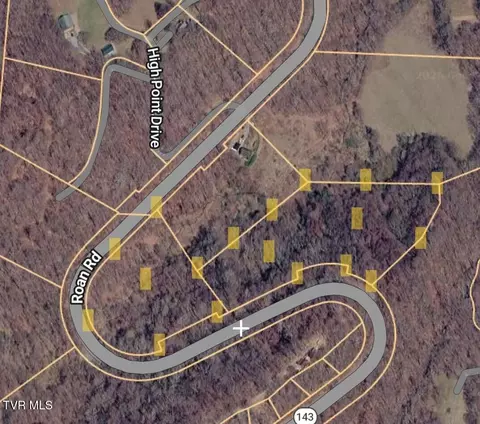tbd Highway 143 Roan Mountain Tn 37687, Roan Mountain, TN 37687