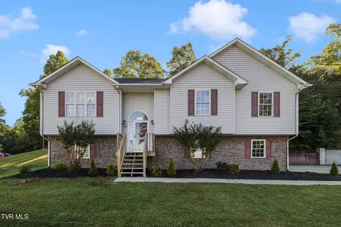 132 Elizabeth Ann Circle Bluff City Tn 37618, Bluff City, TN 37618