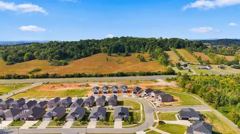 View/Area - 2328 Haystack Circle Piney Flats Tn 37686, Piney Flats, TN 37686 photo 1 of 7