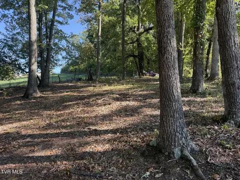 tbd Short Road Limestone Tn 37681, Limestone, TN 37681 photo 6