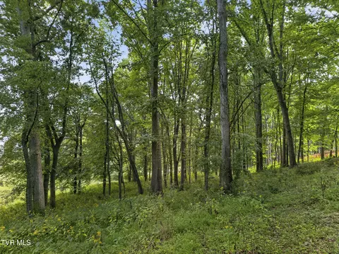 tbd Clifton Ridge Road Lot 114 Abingdon Va 24211, Abingdon, VA 24211 photo 14
