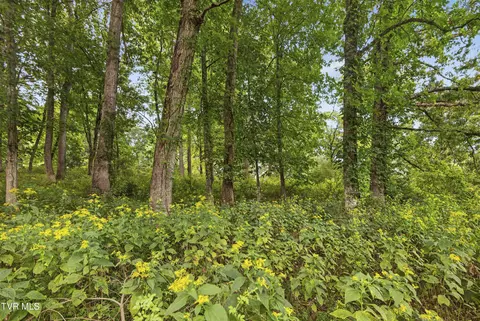 tbd Clifton Ridge Road Lot 114 Abingdon Va 24211, Abingdon, VA 24211 photo 31