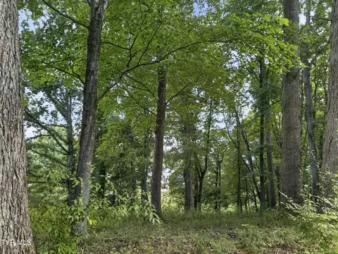 tbd Clifton Ridge Road Lot 114 Abingdon Va 24211, Abingdon, VA 24211 photo 24