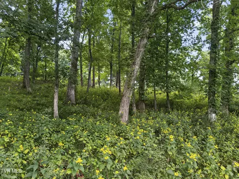 tbd Clifton Ridge Road Lot 114 Abingdon Va 24211, Abingdon, VA 24211 photo 5