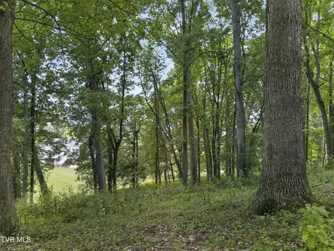 tbd Clifton Ridge Road Lot 114 Abingdon Va 24211, Abingdon, VA 24211 photo 22