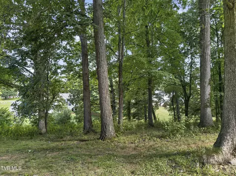 tbd Clifton Ridge Road Lot 114 Abingdon Va 24211, Abingdon, VA 24211 photo 15
