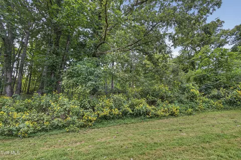 tbd Clifton Ridge Road Lot 114 Abingdon Va 24211, Abingdon, VA 24211 photo 19