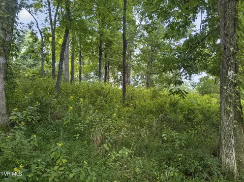 tbd Clifton Ridge Road Lot 114 Abingdon Va 24211, Abingdon, VA 24211 photo 13