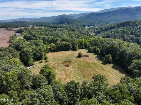 250 Bill Martin Road Afton Tn 37616, Afton, TN 37616