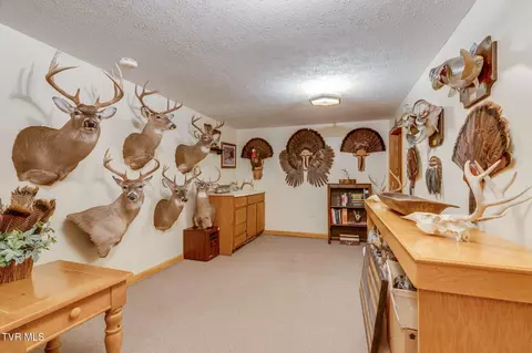 Other - 121 Sunset Road Gray Tn 37615, Gray, TN 37615 photo 5 of 7