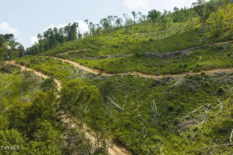 tbd Snake Hollow Road Sneedville Tn 37869, Sneedville, TN 37869