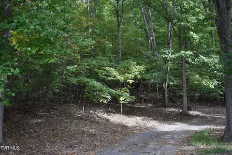 tbd Echo Hills Drive Rogersville Tn 37857, Rogersville, TN 37857