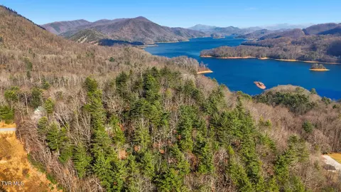 View/Area - 101 Woodhaven Drive Hampton Tn 37658, Hampton, TN 37658 photo 3 of 4