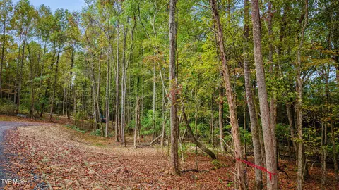 lot4 Mary Patton Highway Elizabethton Tn 37643, Elizabethton, TN 37643