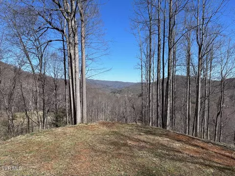 tbd Roan Springs Road Roan Mountain Tn 37687, Roan Mountain, TN 37687