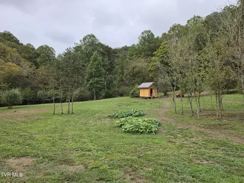 tbd Osborne Ridge Road Dungannon Va 24245, Dungannon, VA 24245