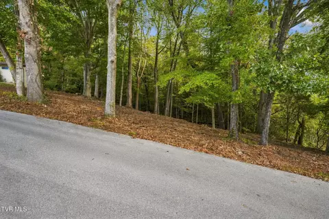 tbd Edgewood Street Church Hill Tn 37642, Church Hill, TN 37642