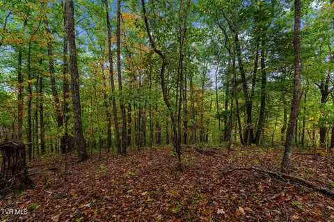 tbd Rasnick Hollow Road Elizabethton Tn 37643, Elizabethton, TN 37643