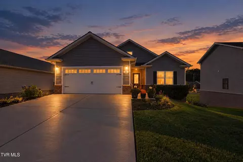 23 Palmetto Court Gray Tn 37615, Gray, TN 37615