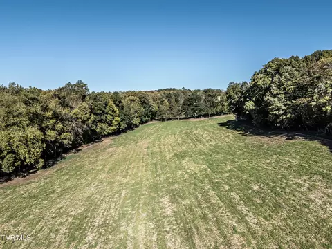 11 81 Ac Kenyon Road Parrottsville Tn 37843, Parrottsville, TN 37843