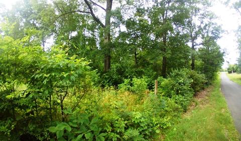 lot6 Smelcer Road Mohawk Tn 37810, Mohawk, TN 37810