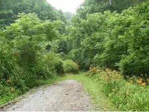 300 S Willis Cove Road Erwin Tn 37650, Erwin, TN 37650 photo 10