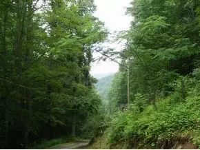 300 S Willis Cove Road Erwin Tn 37650, Erwin, TN 37650 photo 6
