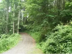 300 S Willis Cove Road Erwin Tn 37650, Erwin, TN 37650 photo 11