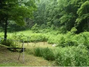 300 S Willis Cove Road Erwin Tn 37650, Erwin, TN 37650 photo 4