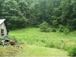 300 S Willis Cove Road Erwin Tn 37650, Erwin, TN 37650 photo 5