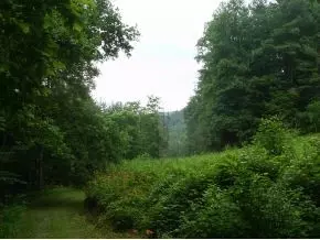 300 S Willis Cove Road Erwin Tn 37650, Erwin, TN 37650 photo 3